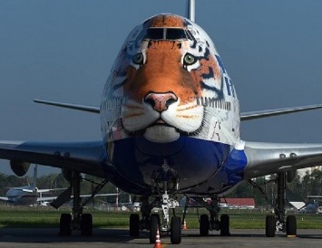 Фото Boeing 747-400 авиакомпании «Трансаэро», украшенное изображением амурского тигра с сайта События.ру